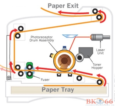 Máy in bị kẹt giấy