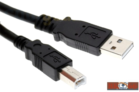 Cáp USB máy in canon 2900