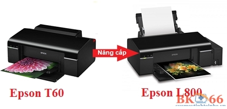 Máy in Epson L800 cũ